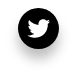 twitter-icon